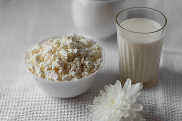 Homemade cottage cheese on white bowl