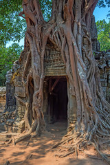 Ta Som temple, Angkor area, Siem Reap, Cambodia