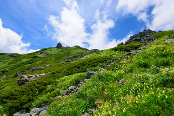 Obraz premium 長野 北アルプス 白馬岳