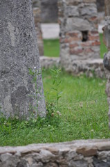 The medieval castle of Cassacco - Friuli