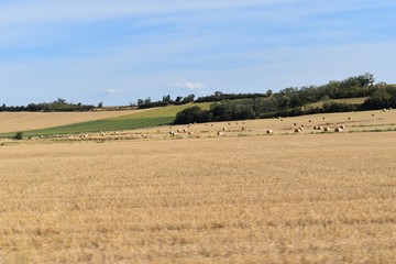 Fototapeta premium Villages de France : cité de Fanjeux