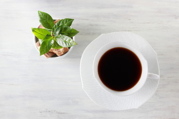 コーヒー