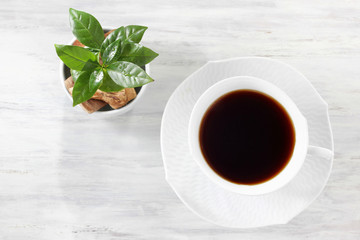 コーヒー
