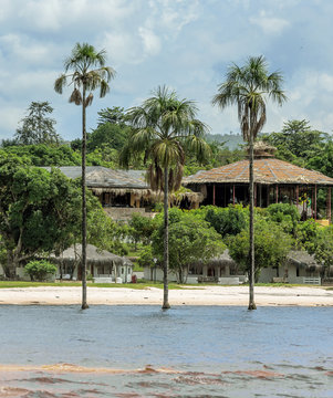 Three palms in the lagoon of Canaima national park - Venezuela, Latin America