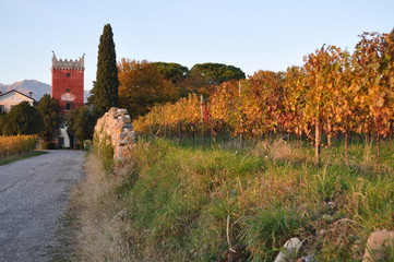 Autumn colors between villages and vineyards