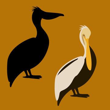 vector illustration style Pelican Flat
