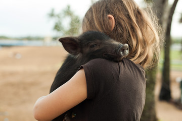Young child carrying black piglet 