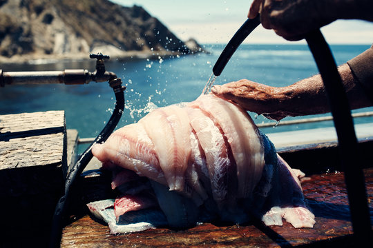 Man cleaning fish filets with water