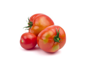 Tomatoes isolated on white background. Clipping path included in JPEG.