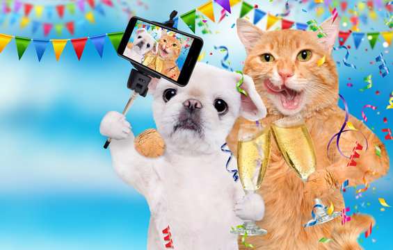 Cat and dog are celebrating with champagne glasses.  Cat and dog taking a selfie together with a smartphone.