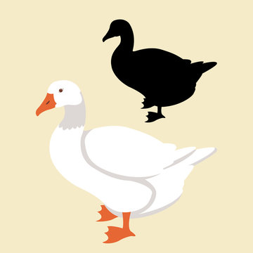 goose vector illustration style Flat silhouette