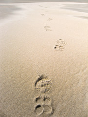 Tracks of shoes in the sand centered in the image from front to back