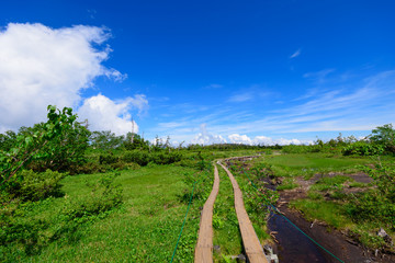 長野　北アルプス　栂池高原