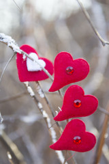 Red heart in nature decoration