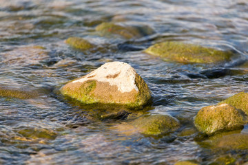 stones in the river as a backdrop