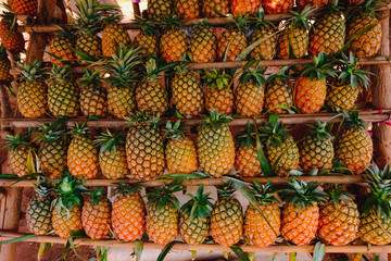 Rows of fresh pineapples for sale on a local market on side road in Thailand