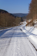 Fototapeta na wymiar Leśna droga w Bieszczadach 
