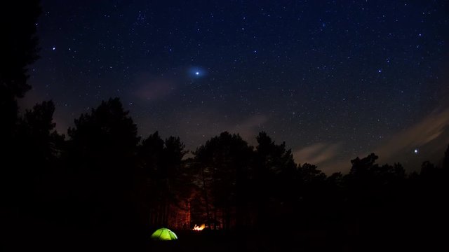 Tourist camp in the forest under a starry sky.Timelapse.