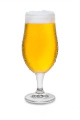 Full Belgium Ale with Condensation #3