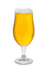 Full Belgium Ale with Condensation, Foam Head, and Drip #2