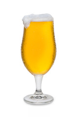 Full Belgium Ale with Condensation, Foam Head, and Drip #3