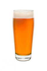 Craft Pub Glass with Beer #1