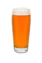 Sweated Craft Pub Beer Glass #6