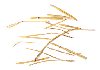 pile straw isolated on white background and texture, top view