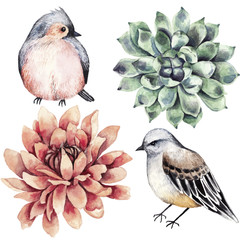 Collection flowers, bird, succulent, watercolor style. - 135598395