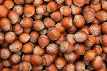 Hazelnut. Healthy diet. A lot of. View from above.