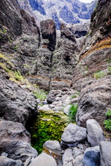 famous masca gorge - tenerife - spain