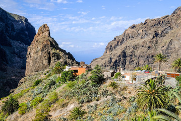 famous masca gorge - tenerife - spain