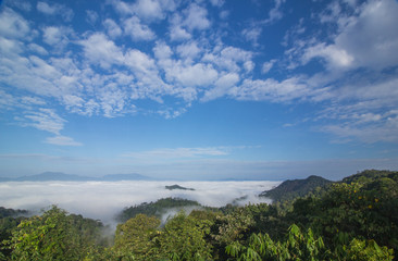Morning mist in the forest. Kaeng Krachan. Petchaburi, Thailand.