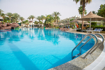 Large swimming pool with palm trees