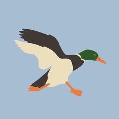 duck head vector illustration style Flat