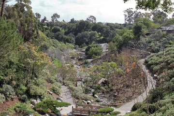Fototapeta na wymiar Japanese Friendship Garden - Balboa Park - San Diego - USA