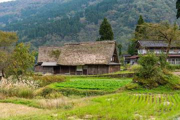 Fototapeta na wymiar Shirakawago old village