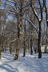 Fototapeta premium Shovel recently wintertime walk in park, Sofia, Bulgaria 
