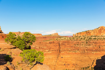 Canyon at Dead Horse State Park
