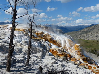 Mammoth hot springs terrasses en travertin
