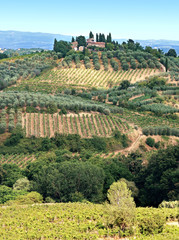 Collines près de San Gimignano en Toscane