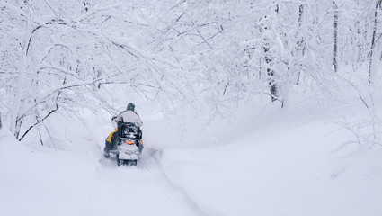 Winter snowy lanscape with road