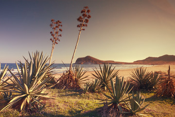 Sunset on the beach Genoveses in the Natural Park of Cabo de Gata, Almeria, Spain - obrazy, fototapety, plakaty