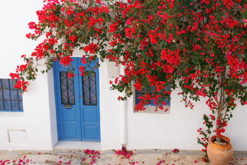 Bougainvillea flowered on the facade of a house typical of Nijar, Almeria, Spain