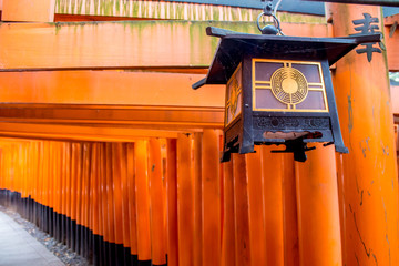 Tsuridourou lantern at Fushimi Inari shrine in kyoto
