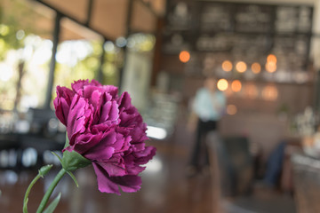 Close up purple flower on the wood table in coffee shop.