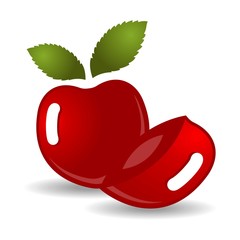Cherry Fruit Vector Illustration