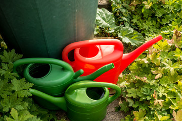 Giesskannen aus buntem Plastik
