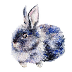 Watercolor bunny isolated on white. Easter rabbit