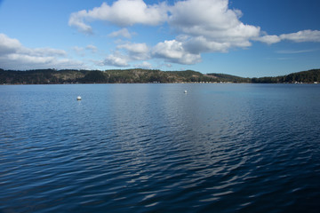 Bayview